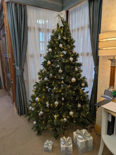 Festive fun for residents at Colinton Care Home