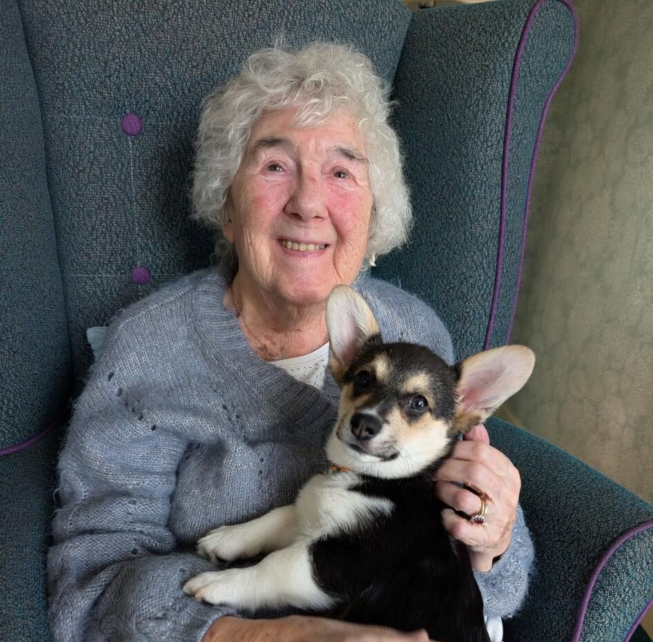 resident smiling with corgi puppy on lap