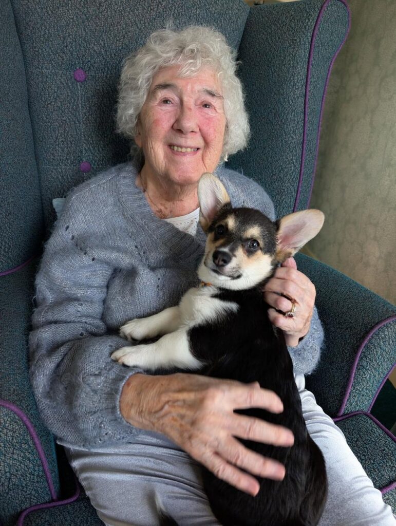 elderly woman smiling with corgi puppy on her lap