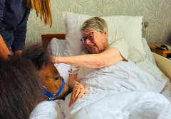 resident with a brown pony